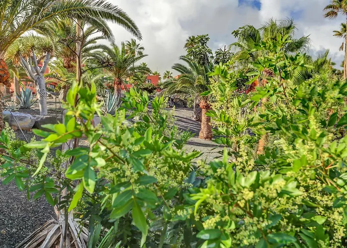 Oasis Royal 2 Bedrooms Ground Floor Appartement Corralejo